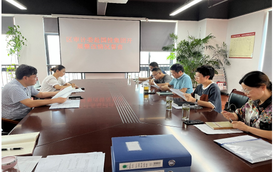 區(qū)委審計(jì)委到國(guó)投集團(tuán)開(kāi)展審計(jì)整改督查工作